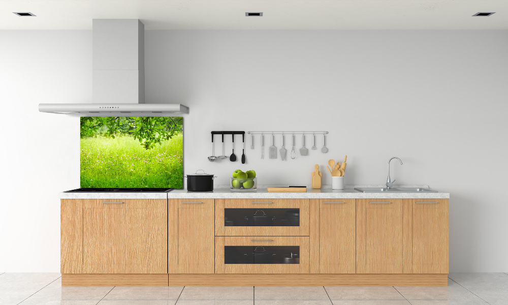 Cooker splashback Green meadow