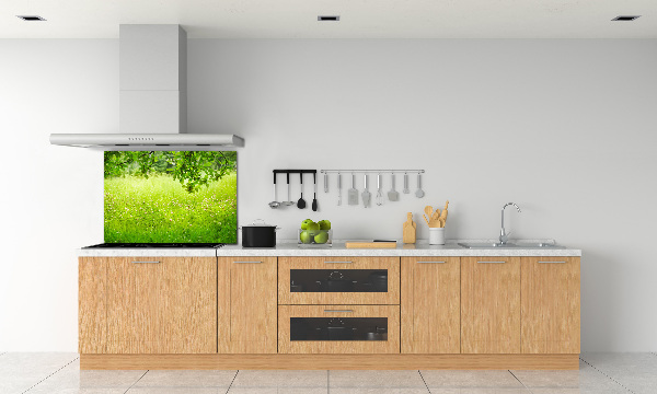 Cooker splashback Green meadow