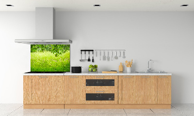 Cooker splashback Green meadow