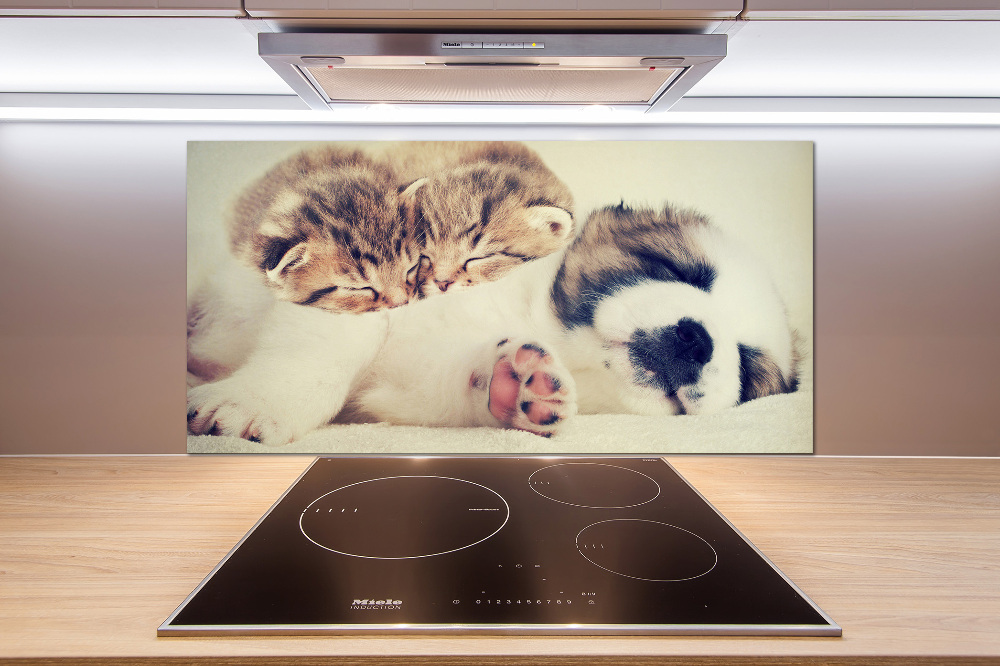 Kitchen splashback Two cats and a dog