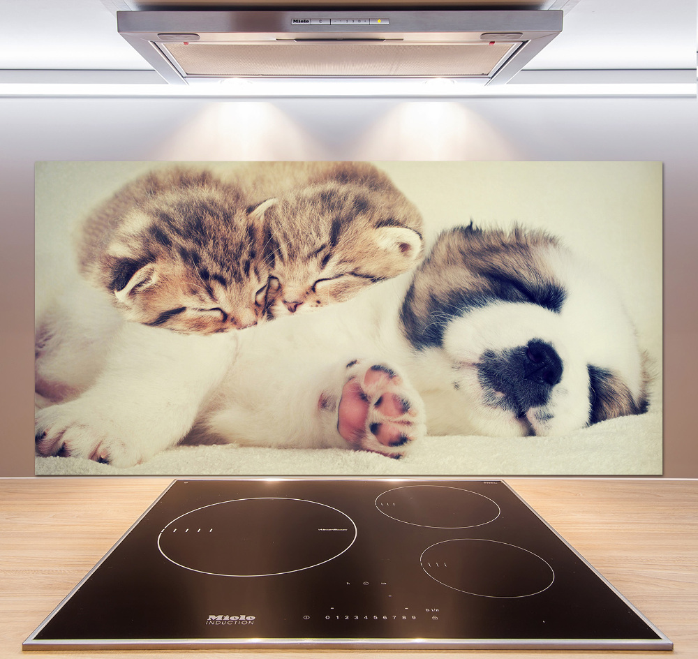 Kitchen splashback Two cats and a dog