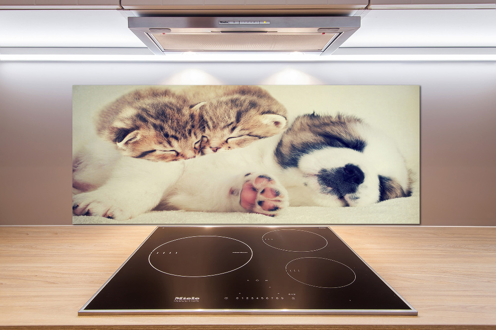 Kitchen splashback Two cats and a dog