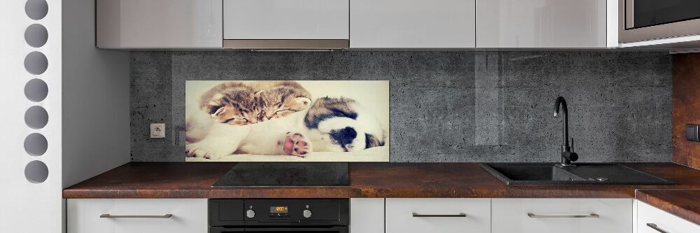 Kitchen splashback Two cats and a dog