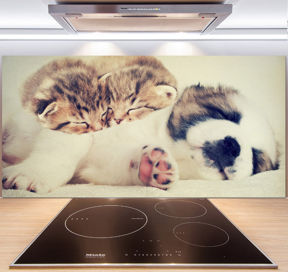 Kitchen splashback Two cats and a dog