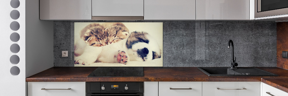 Kitchen splashback Two cats and a dog