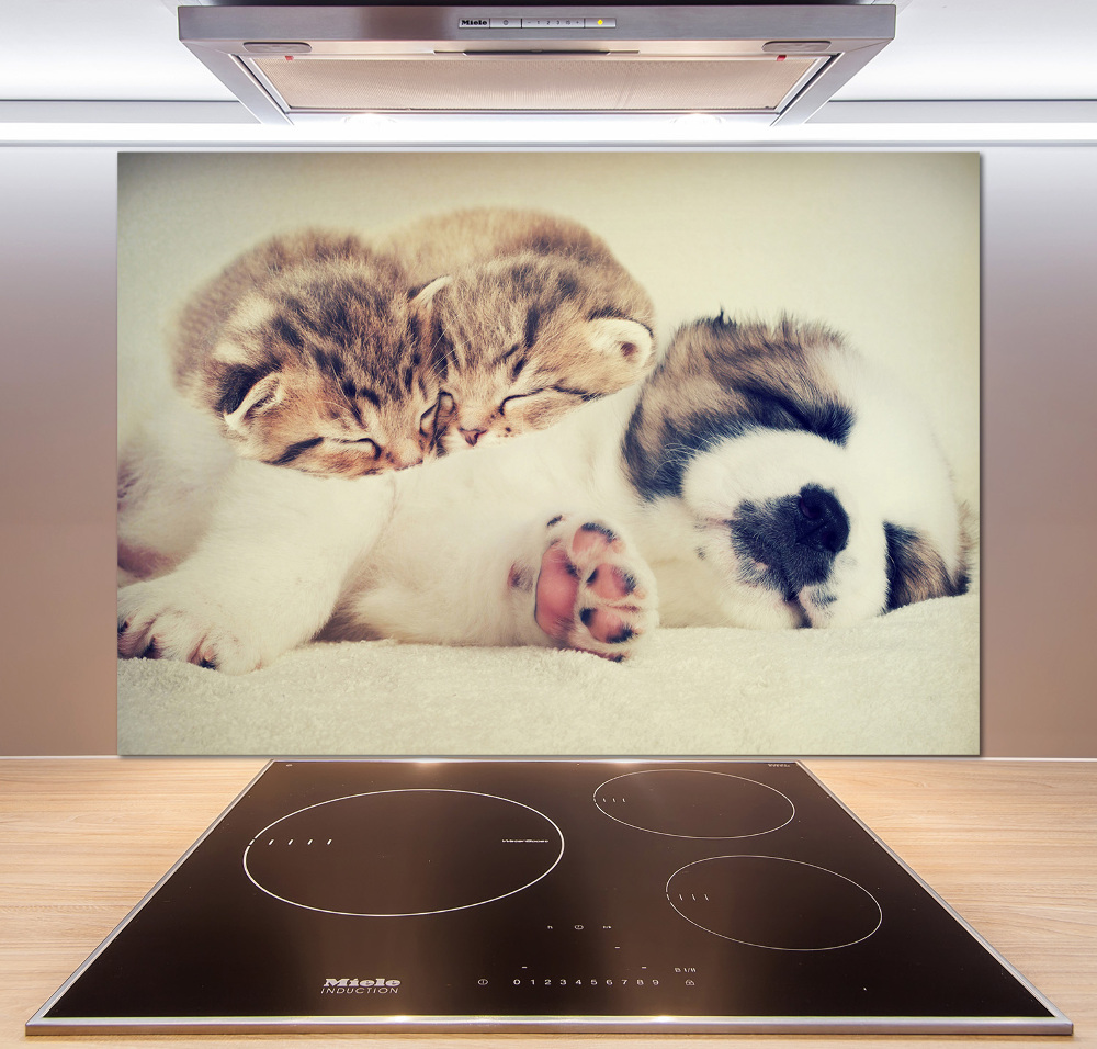 Kitchen splashback Two cats and a dog