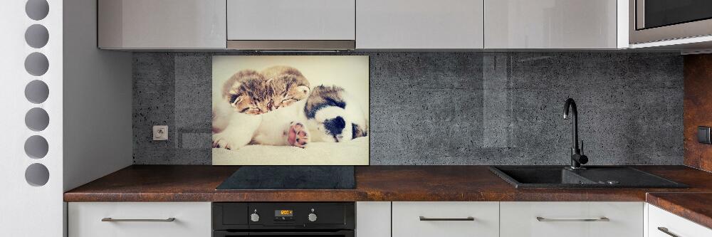 Kitchen splashback Two cats and a dog