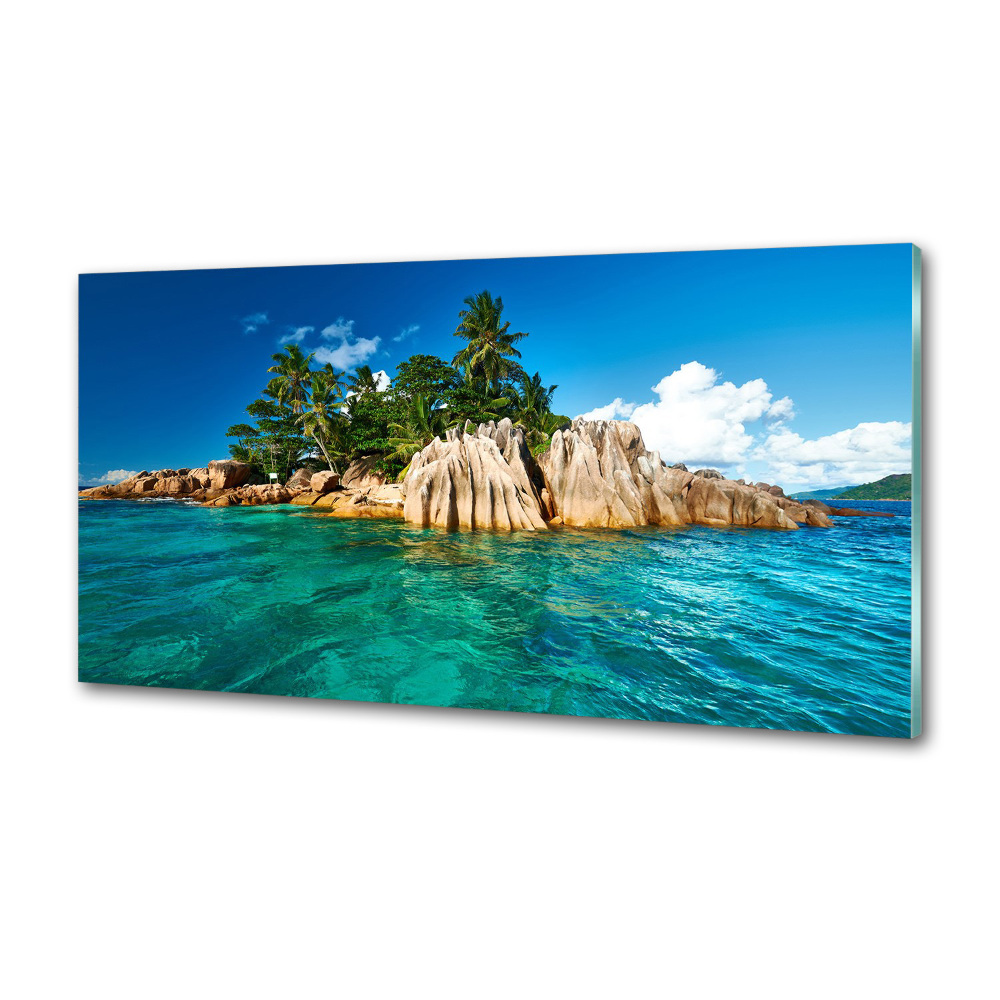 Cooker splashback Tropical island