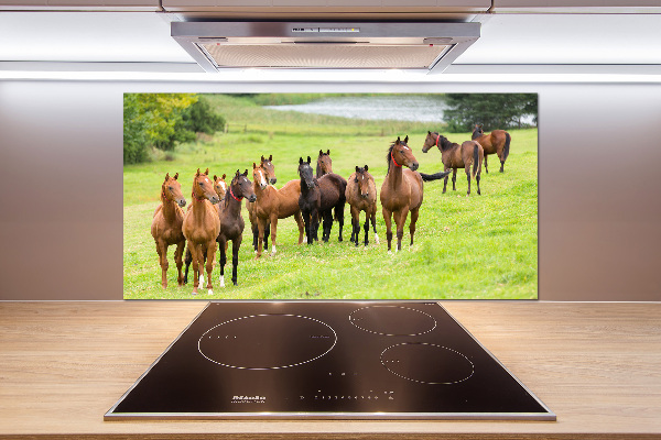 Glass splashback A herd of horses in the meadow