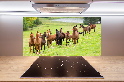 Glass splashback A herd of horses in the meadow