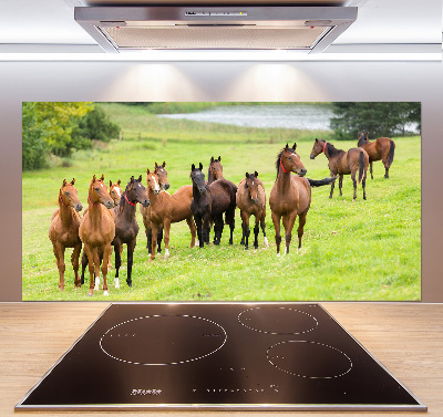 Glass splashback A herd of horses in the meadow