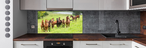 Glass splashback A herd of horses in the meadow