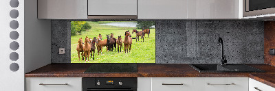 Glass splashback A herd of horses in the meadow