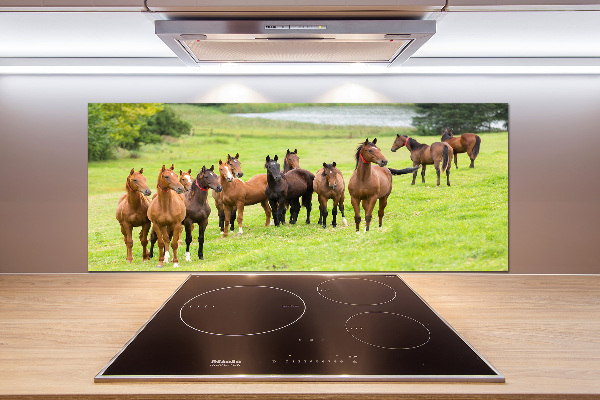 Glass splashback A herd of horses in the meadow