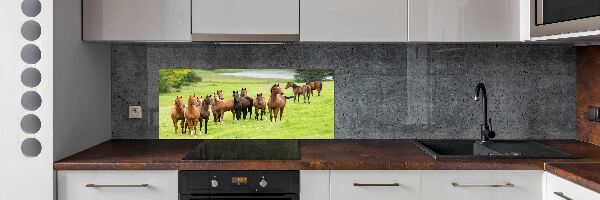 Glass splashback A herd of horses in the meadow