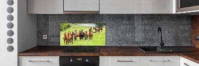 Glass splashback A herd of horses in the meadow