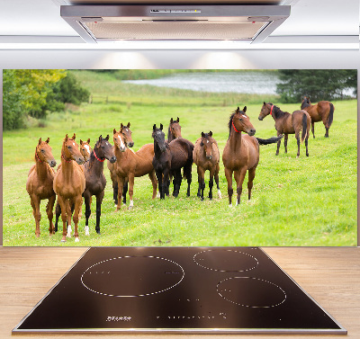 Glass splashback A herd of horses in the meadow