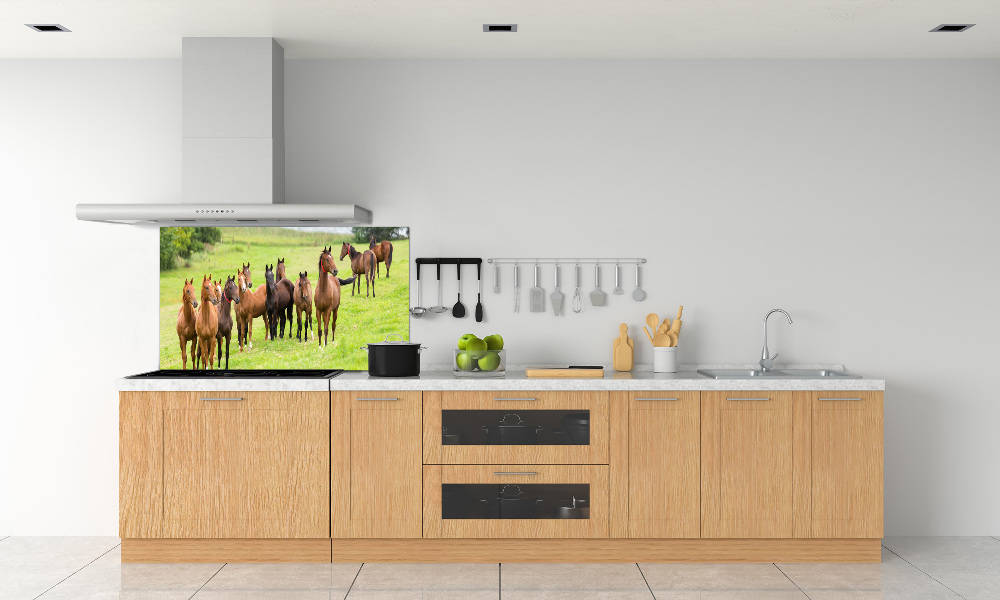 Glass splashback A herd of horses in the meadow