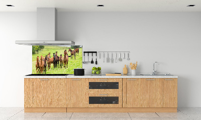 Glass splashback A herd of horses in the meadow