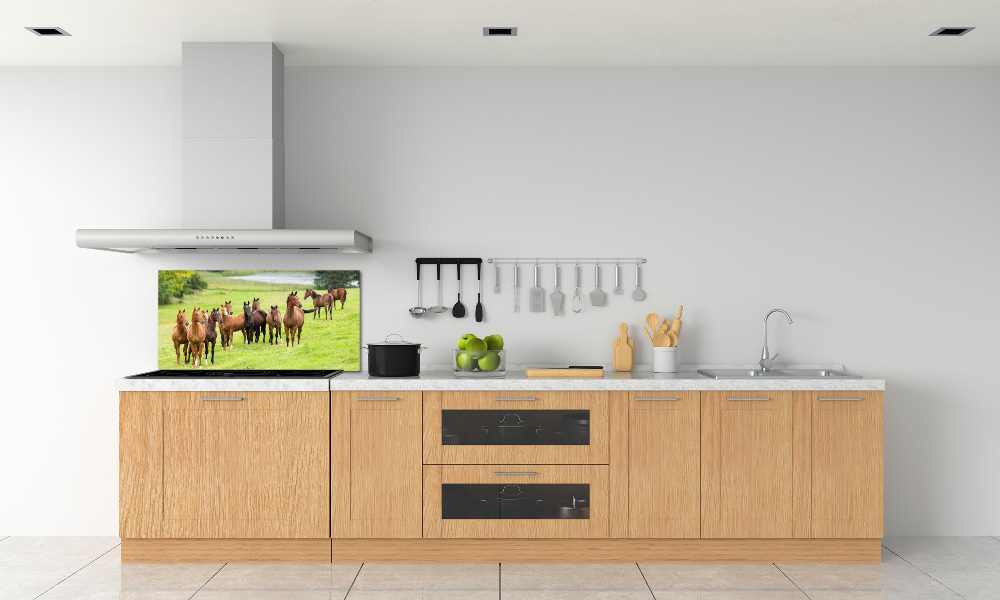 Glass splashback A herd of horses in the meadow