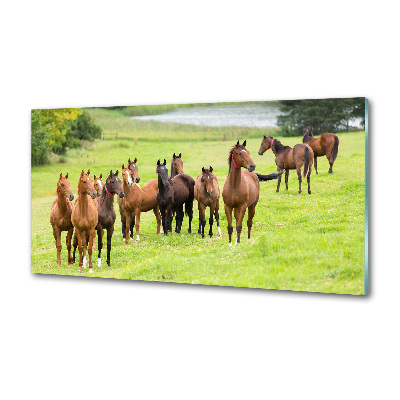 Glass splashback A herd of horses in the meadow