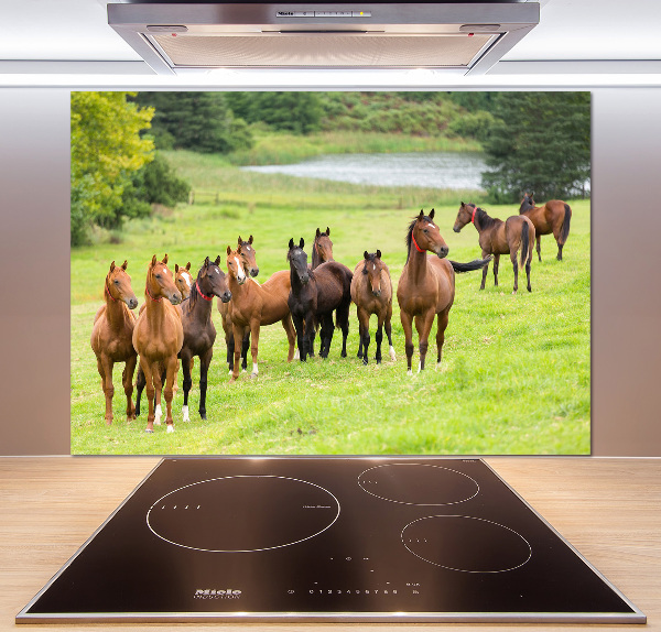 Glass splashback A herd of horses in the meadow