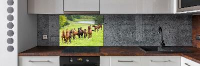 Glass splashback A herd of horses in the meadow