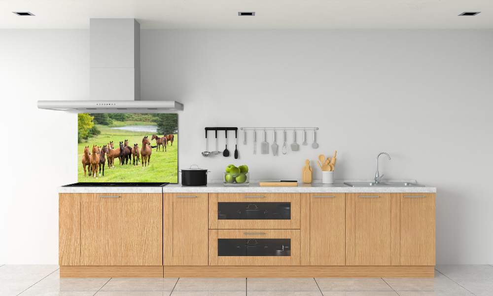 Glass splashback A herd of horses in the meadow