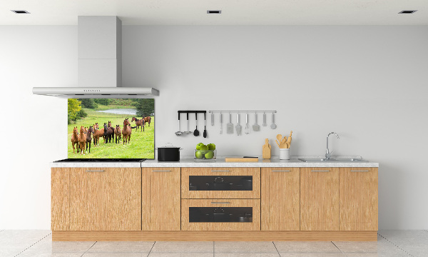 Glass splashback A herd of horses in the meadow