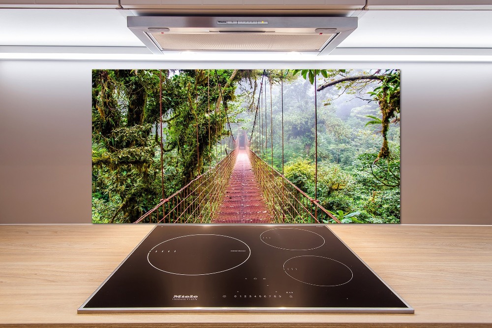 Cooker splashback Bridge in the tropics