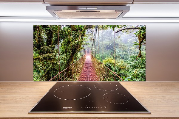 Cooker splashback Bridge in the tropics