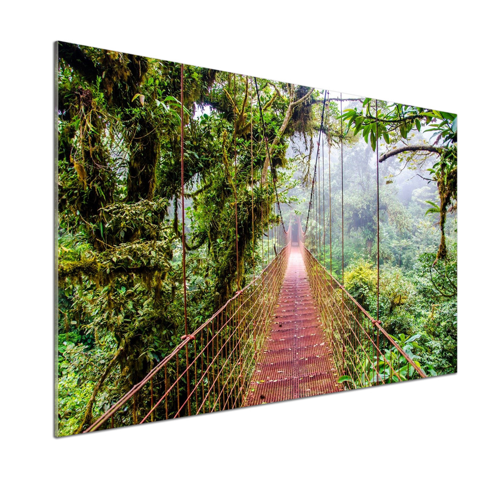 Cooker splashback Bridge in the tropics