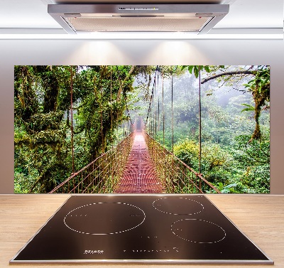 Cooker splashback Bridge in the tropics