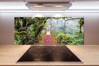 Cooker splashback Bridge in the tropics