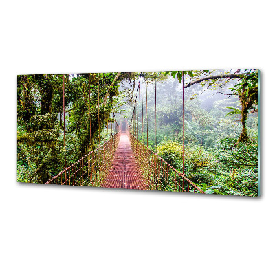 Cooker splashback Bridge in the tropics