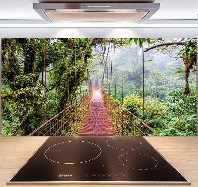 Cooker splashback Bridge in the tropics