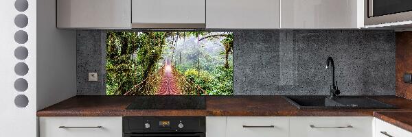 Cooker splashback Bridge in the tropics