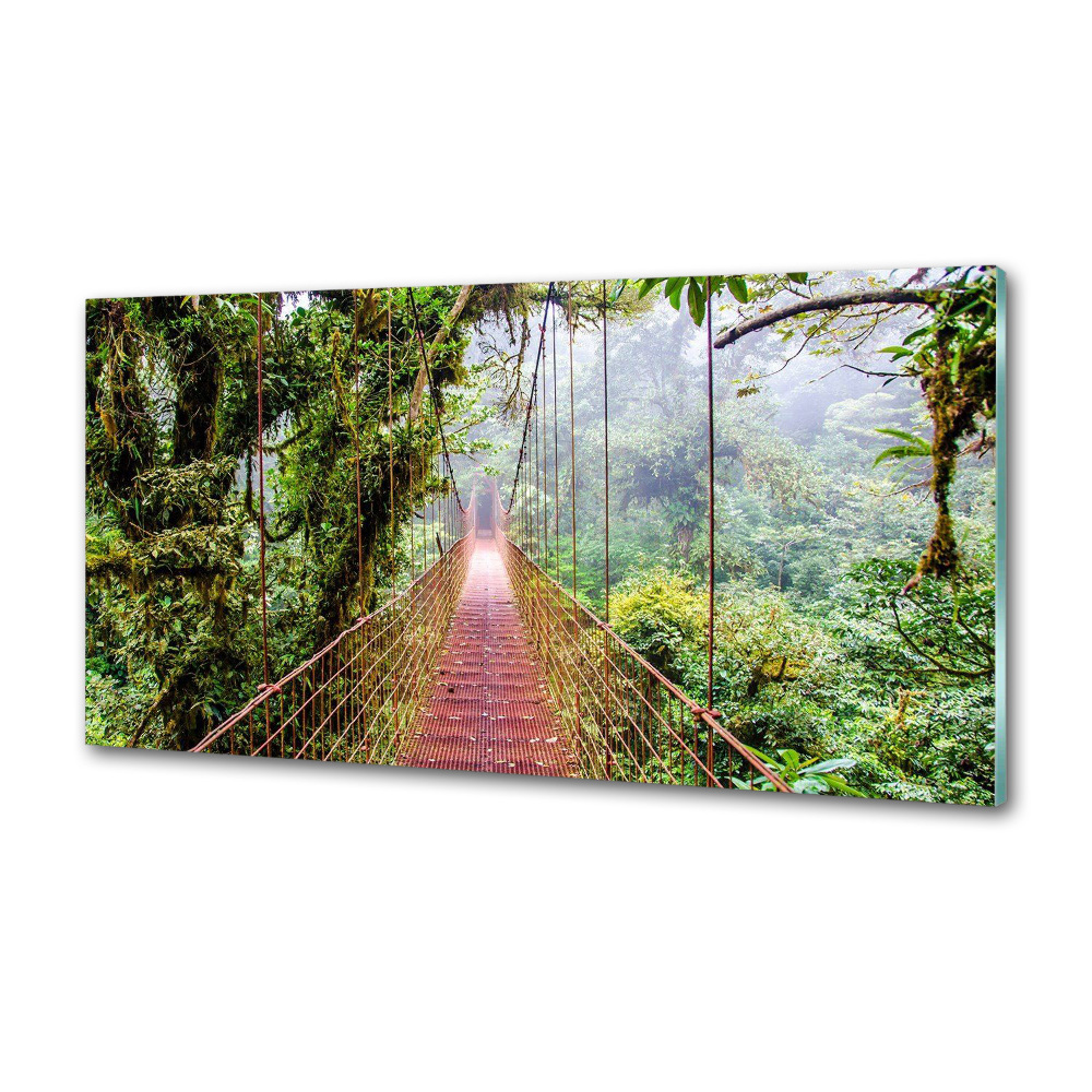 Cooker splashback Bridge in the tropics