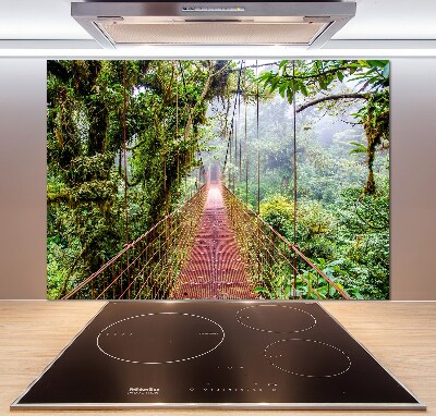 Cooker splashback Bridge in the tropics