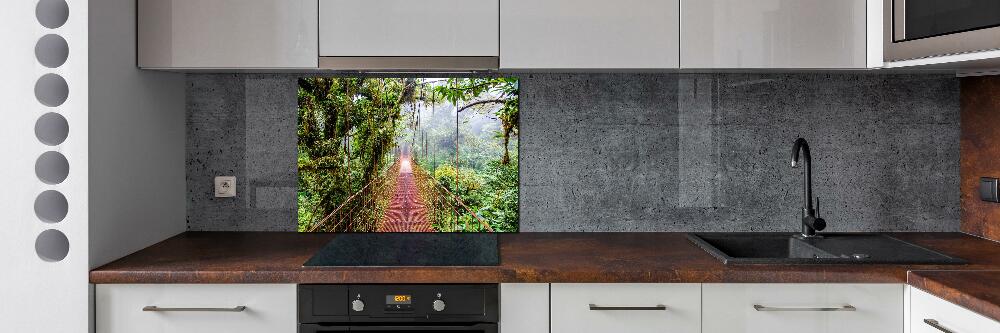 Cooker splashback Bridge in the tropics