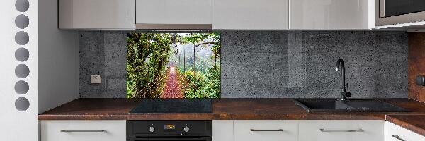 Cooker splashback Bridge in the tropics