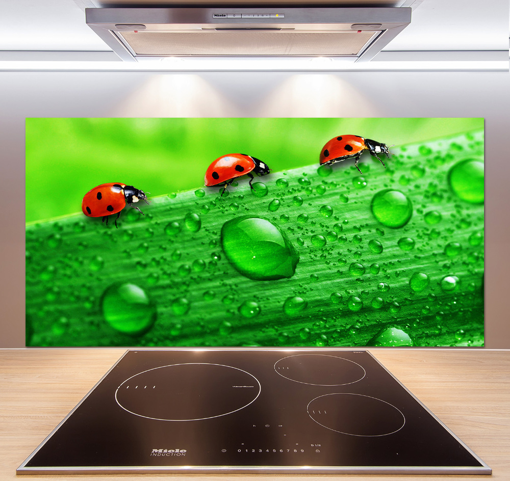 Cooker splashback Ladybugs on the grass