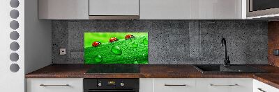 Cooker splashback Ladybugs on the grass