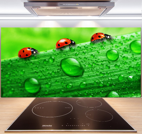 Cooker splashback Ladybugs on the grass