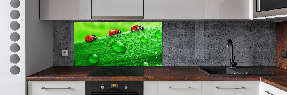 Cooker splashback Ladybugs on the grass