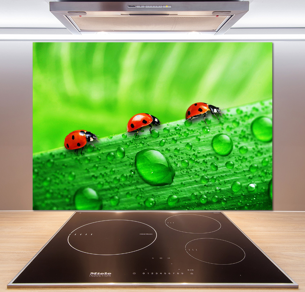 Cooker splashback Ladybugs on the grass