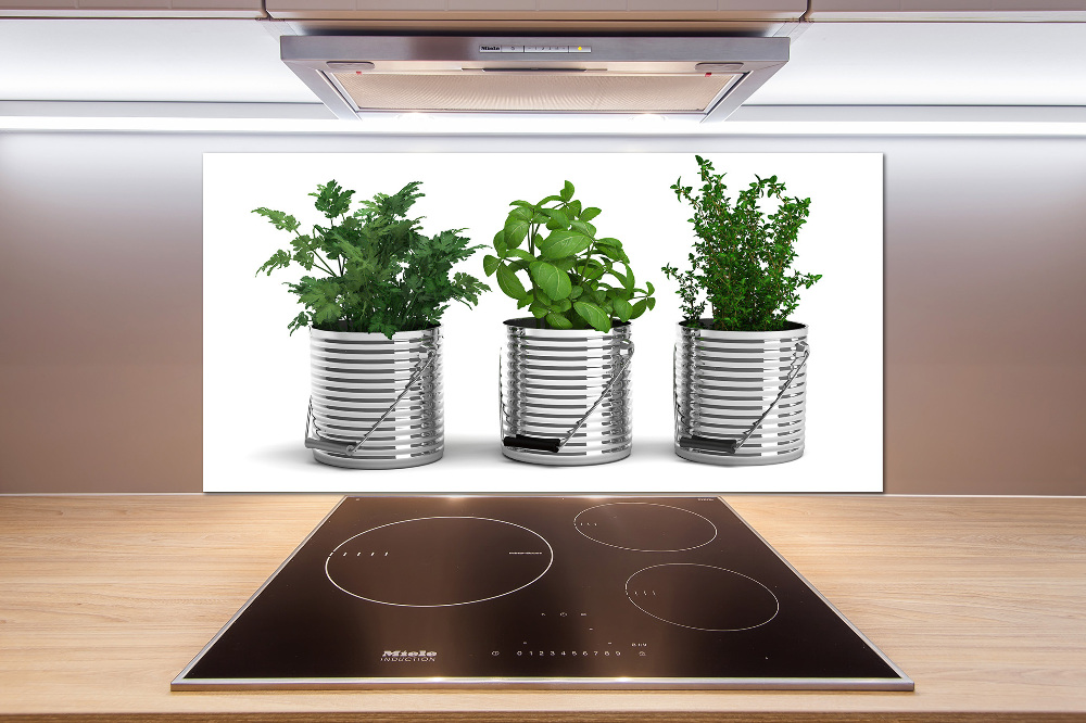 Cooker splashback Aromatic plants