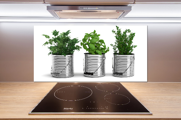 Cooker splashback Aromatic plants