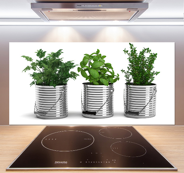 Cooker splashback Aromatic plants