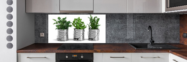 Cooker splashback Aromatic plants